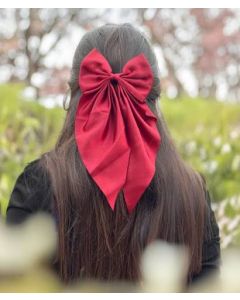 Hair Bow Clip