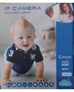 IP Camera ( intelligent camera)