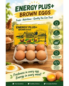 Egg (pack of 6 )