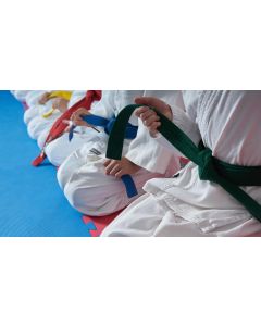 Advanced Judo Course Class