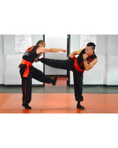 Choy Li Fut Kung Fu Class