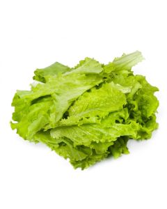 Lettuce