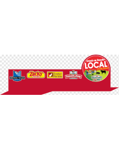 fast food local
