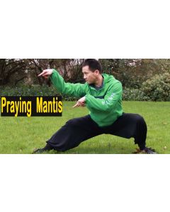 Praying Mantis Kung Fu Class