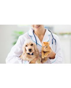 Pet Care - 6