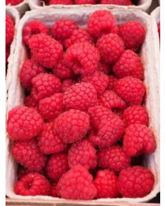 Raspberry