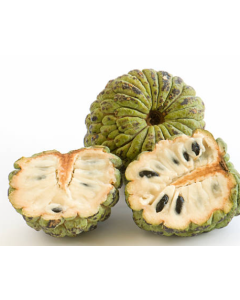 Custard Apple (Sitaphal)