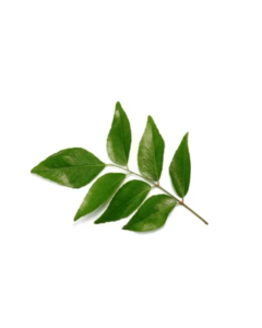 Curry Leaves