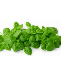 Basil Leaves