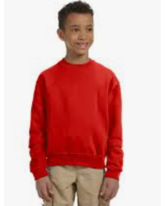 Boy's Sweatshirt