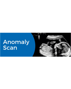 Anomaly Scan