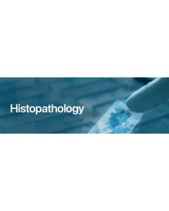 Histopathology