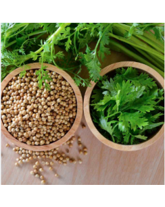 Coriander Seeds