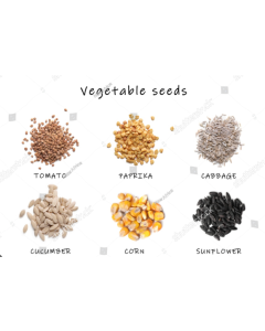 Vegetable Seeds