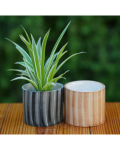 Wooden Planters Medium Pot