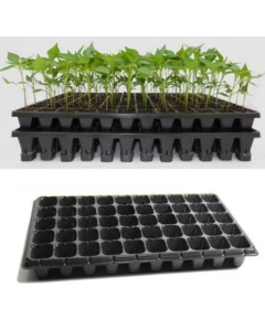 Seedling Tray