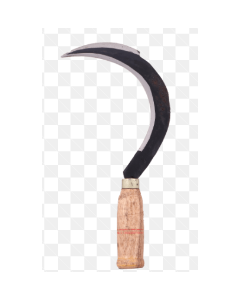 Double Edge Sickle