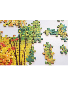 Jigsaw Puzzle