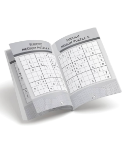 Sudoku Puzzle