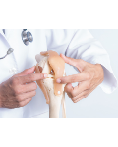 Orthopedic Doctor - 9