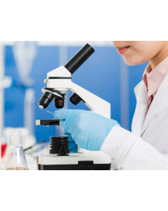 Pathologist - 6