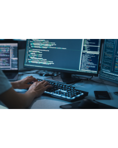Software Developer - 7