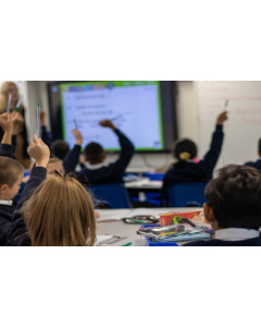 Primary School - 8