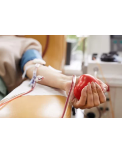 Blood Bank - 6