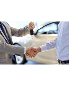 Car Dealer - 8