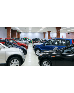 Used Car Dealer - 8