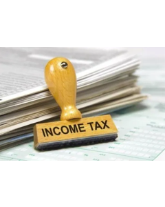 Income Tax Consultant