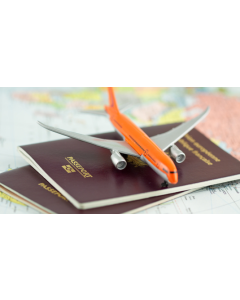 Visa Services - 8