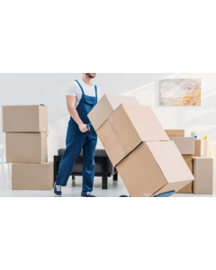 Packers & Movers - 1