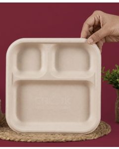 Sugarcane Bagasse food serving plate