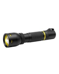 Torch light 