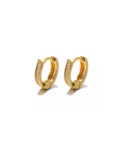 Huggie Earring