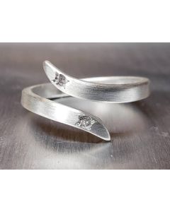 Bypass Ring