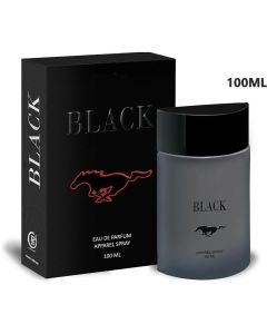 CFS BLACK Eau De Parfum 100 ml Apparel Spray