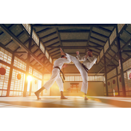 Shindo Jinen Ryu Karate Class