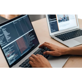 Python & SQL Course